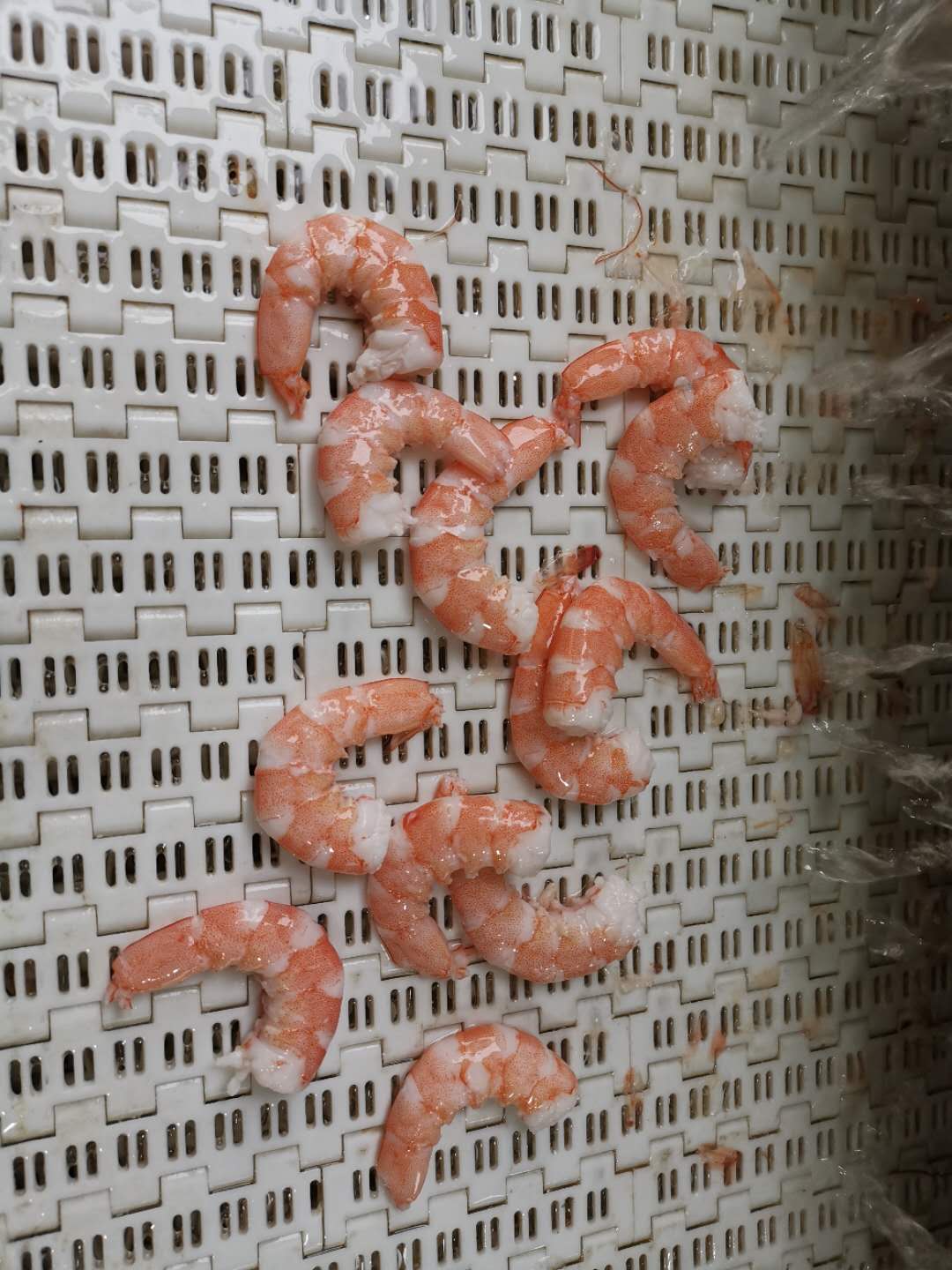 熟蝦成品效（xiào）果圖