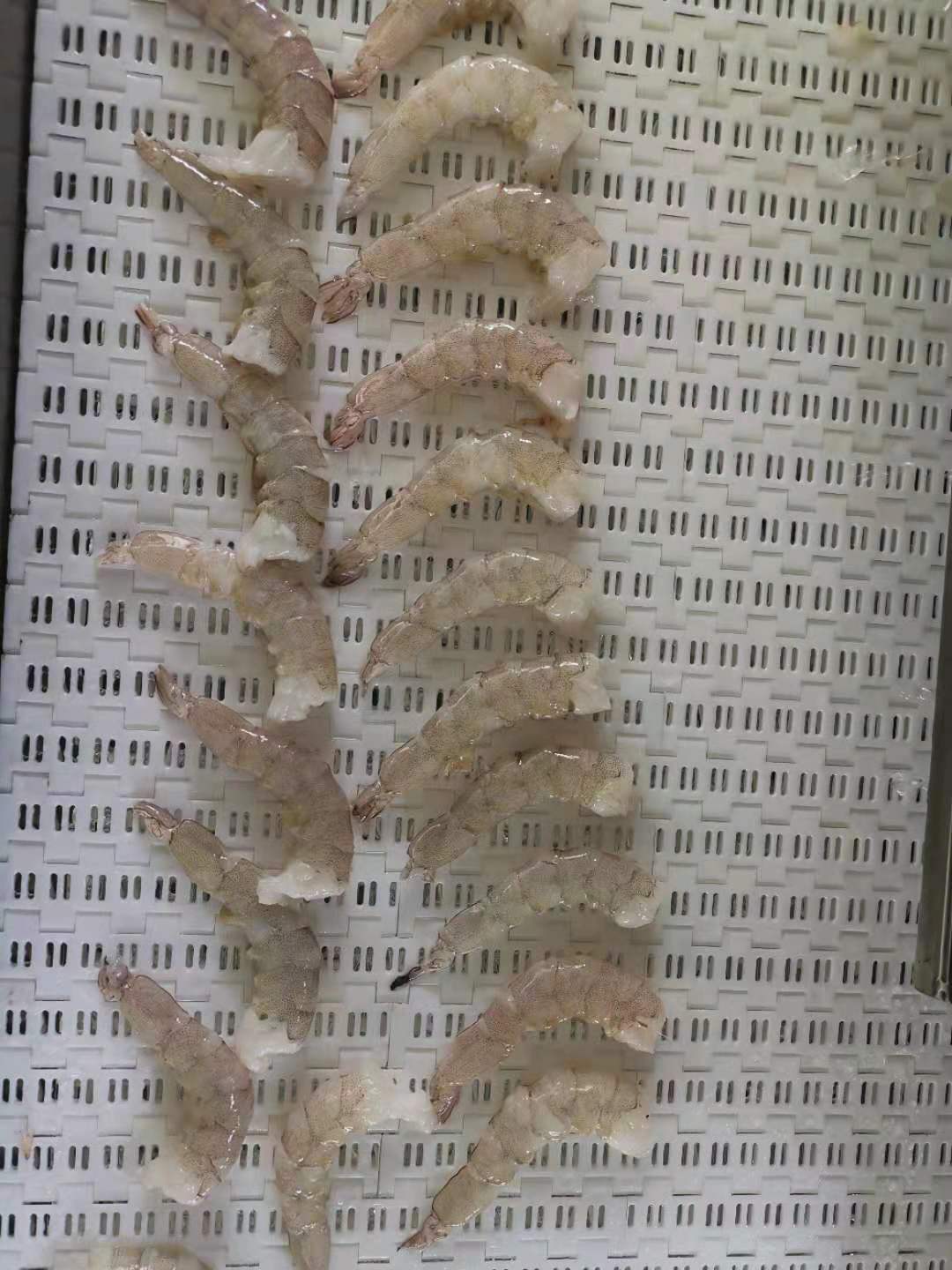 南美白（bái）蝦成品（pǐn）效果圖