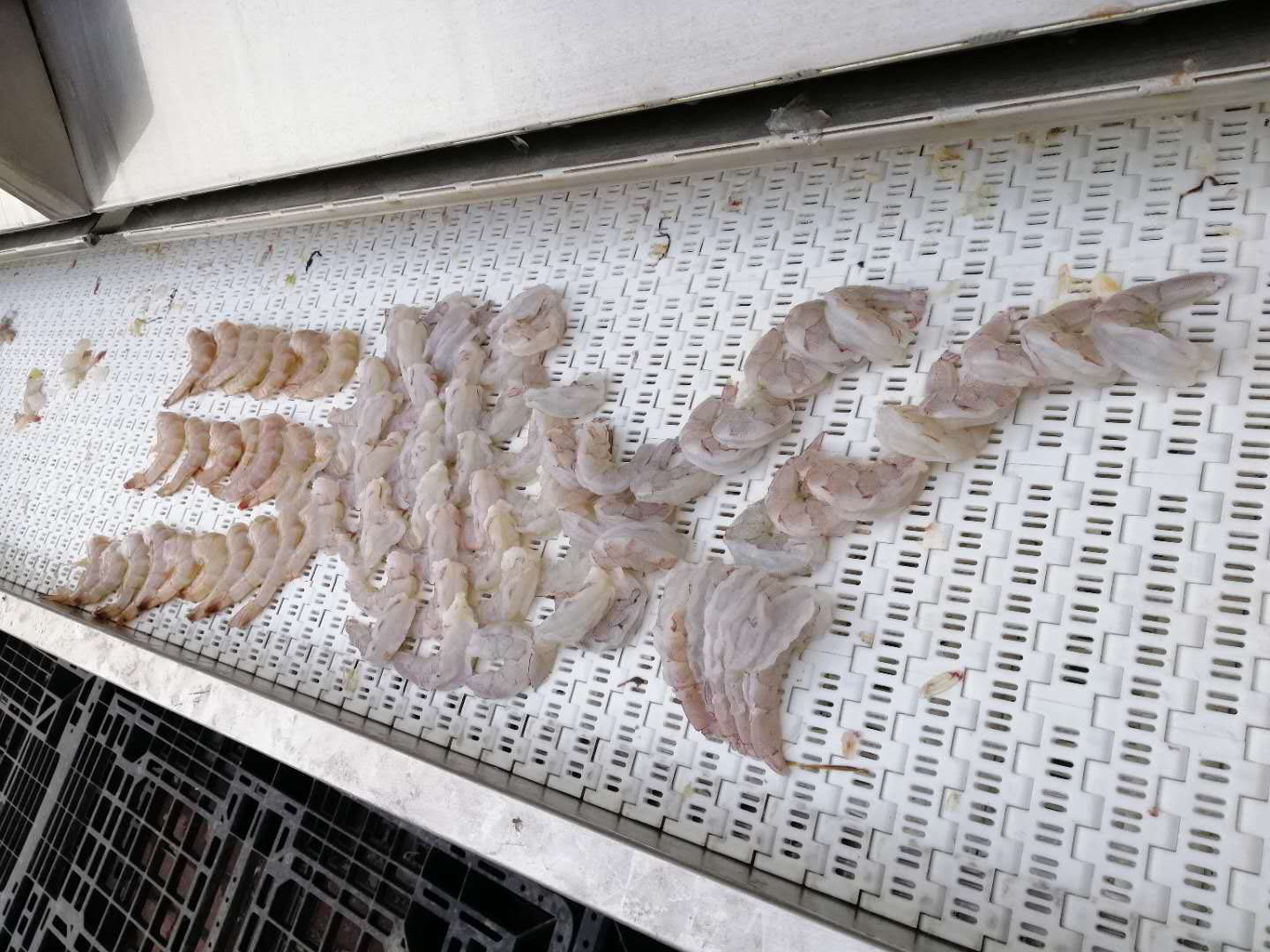 開背挑（tiāo）腸成品效果圖